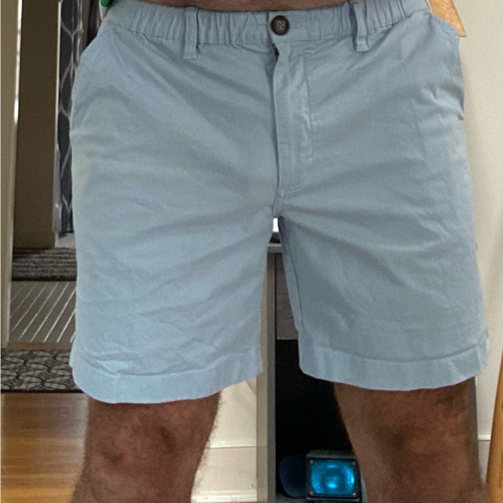Chubbies: Men's Light Blue Shorts